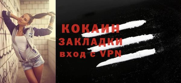 индика Заволжск