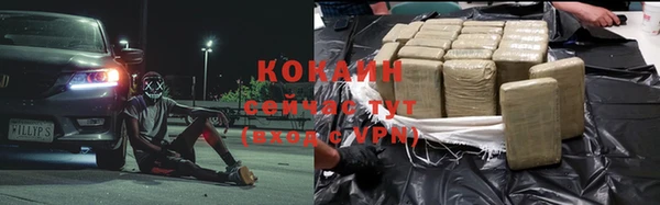 индика Заволжск