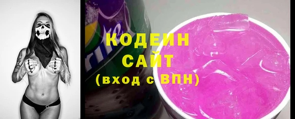 индика Заволжск
