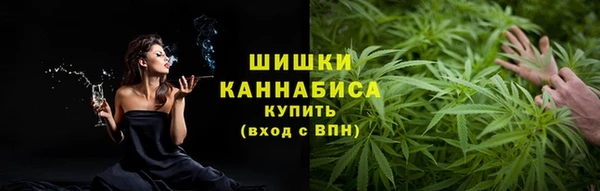 прущий лед Ельня