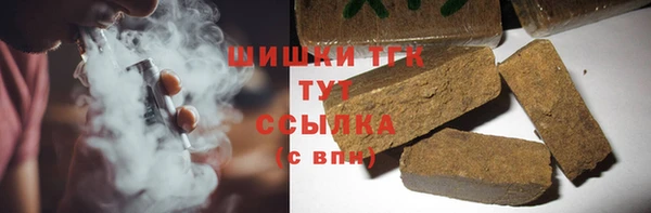 индика Заволжск