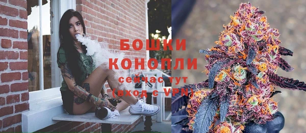 индика Заволжск