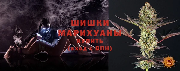 индика Заволжск