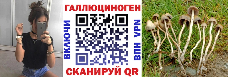 Галлюциногенные грибы MAGIC MUSHROOMS  Купить где  Перевоз 
